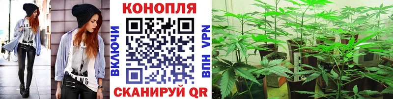 Как найти закладки Сибай Кокаин  АМФЕТАМИН  Меф мяу мяу  Гашиш  Канабис 