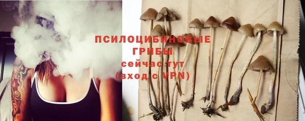 apvp Ростов