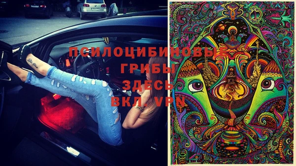 мяу мяу мука Пролетарск