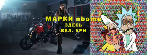 гашик Елизово