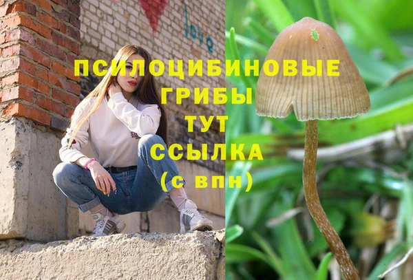экстази Приозерск