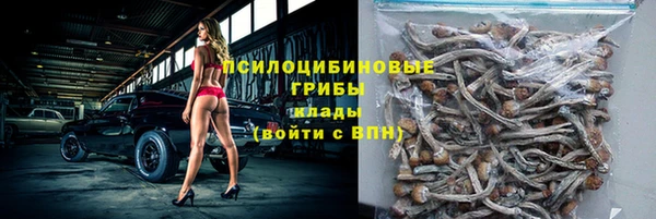 дживик Дмитриев