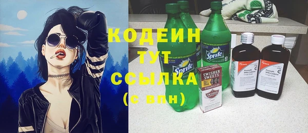 гашик Елизово