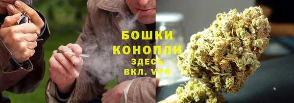 мдпв Россошь