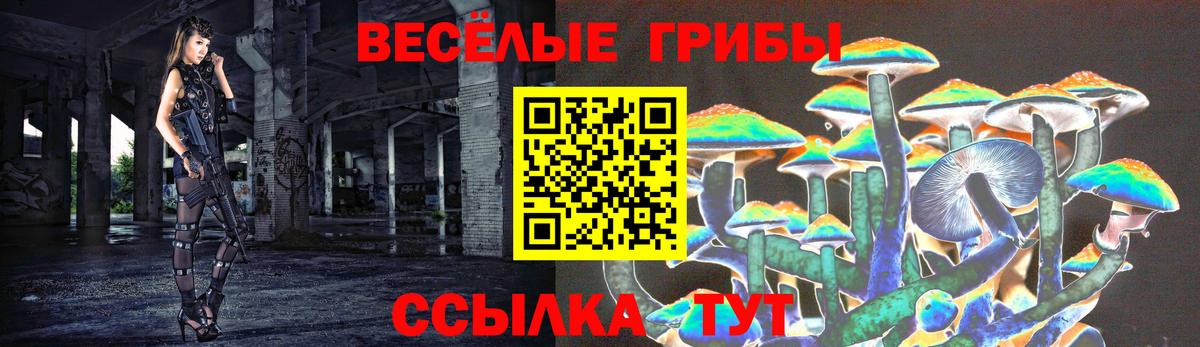 Галлюциногенные грибы мицелий  Галлюциногенные грибы мицелий  купить наркотик  Сибай 