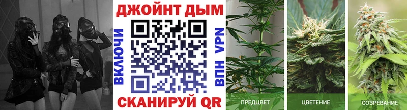 Марихуана OG Kush  купить  сайты  ОМГ ОМГ рабочий сайт  Сибай 